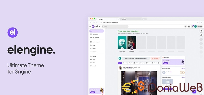 Elengine Theme for Sngine