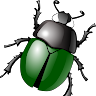 Serangge Kumbang