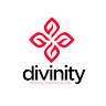 Divinity LLC