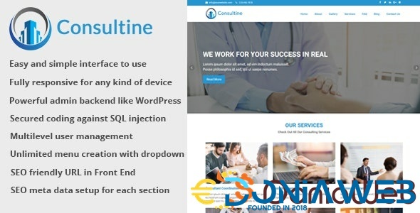 Consultine - Consulting, Business and Finance Website CMS