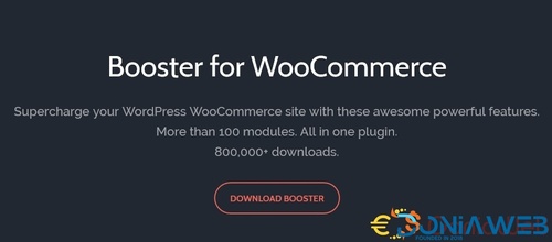 More information about "Booster Plus for WooCommerce plugin"