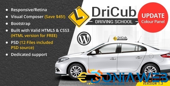 DriCub - Driving School WordPress Theme