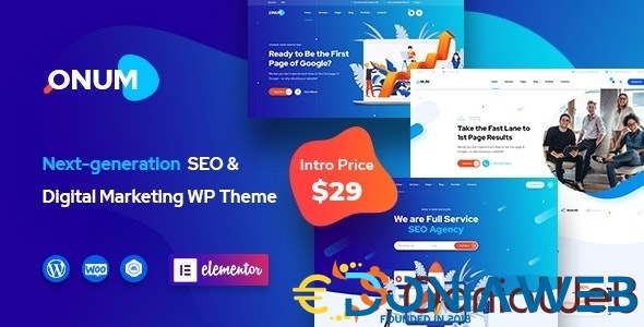 Onum - SEO & Marketing Elementor WP Theme