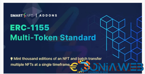 More information about "Smart NFT 1155 - Multi-token standard addons"