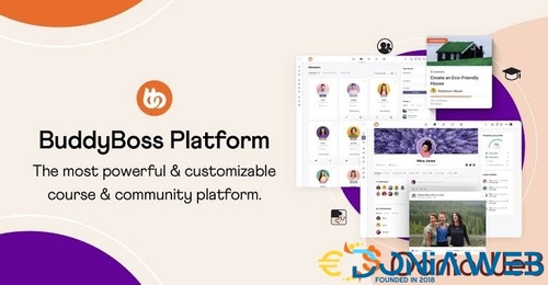 More information about "BuddyBoss Platform Pro"