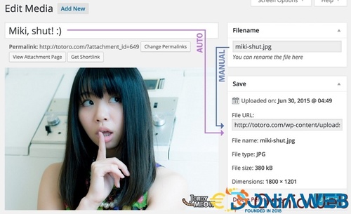 More information about "Media File Renamer Pro"