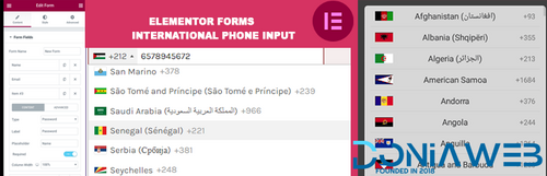 More information about "Telephone field for Elementor Forms Pro"