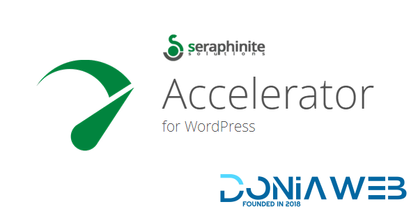 Seraphinite Accelerator (Full, Premium)