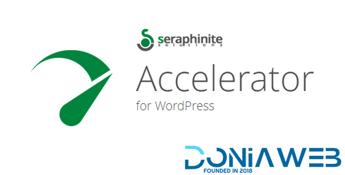 More information about "Seraphinite Accelerator (Full, Premium)"