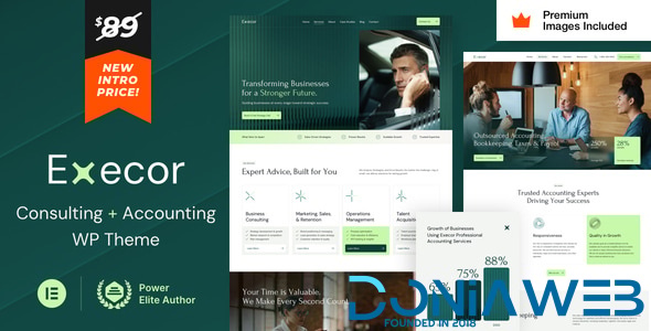 Execor - Accounting and Management Consulting WordPress Theme