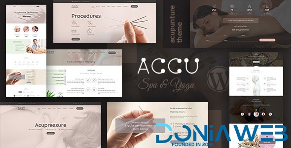Accu - Healthcare, Massage WordPress Theme