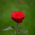 Shivendra Kr. Sahu